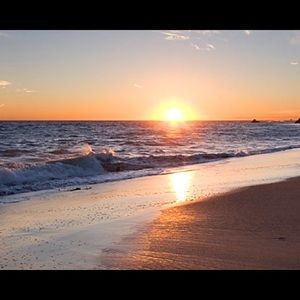 Meet your Posher, Olga